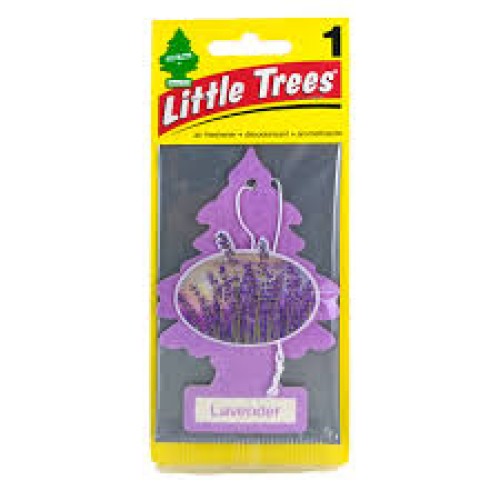 LITTLE TREE 1 CT LAVENDER SCENT