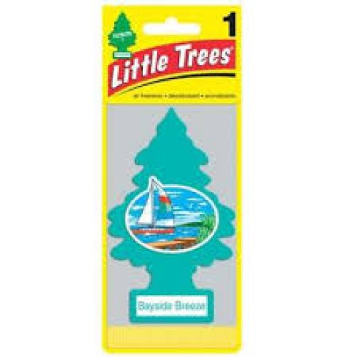 LITTLE TREE RAINFOREST MIST 24-1CT