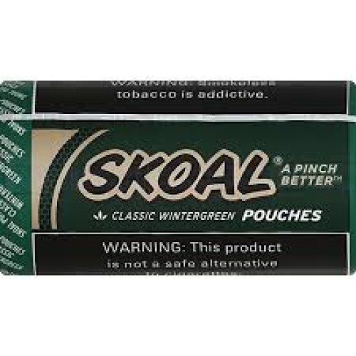 SKOAL WINTERGREEN POUCH 5CT