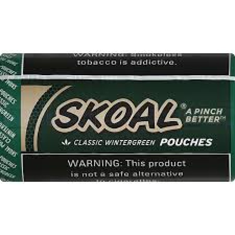 SKOAL WINTERGREEN POUCH 5CT
